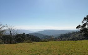 Orchid On Main - Valley Of 1000 Hills